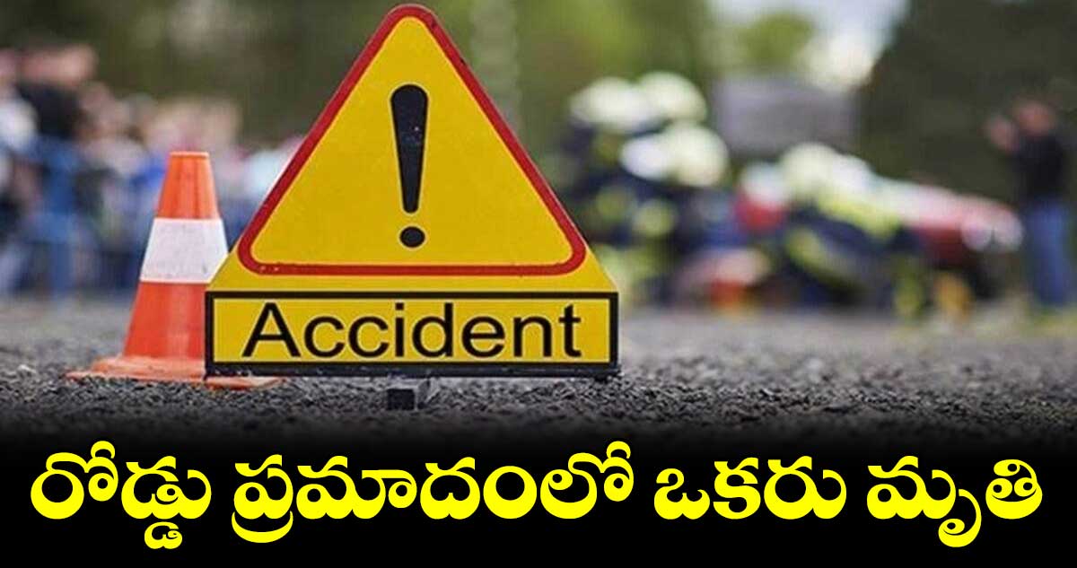 రోడ్డు ప్రమాదంలో ఒకరు మృతి 