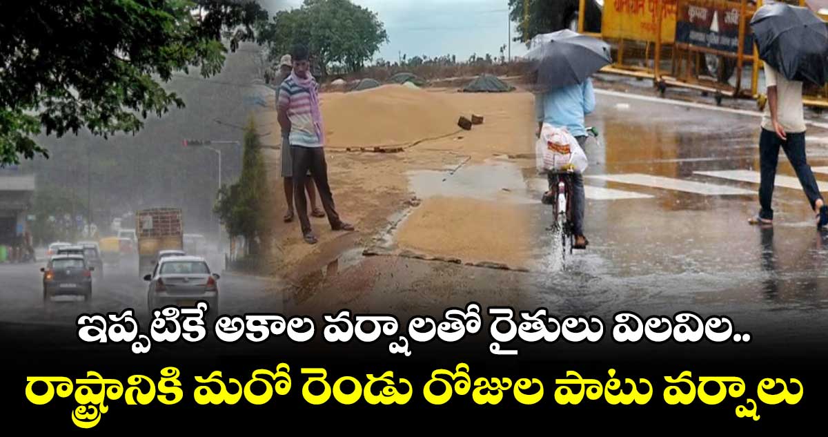 తెలంగాణ రాష్ట్రానికి మరో రెండు రోజులు వర్షాలు : హైదరాబాద్ వాతావరణ శాఖ