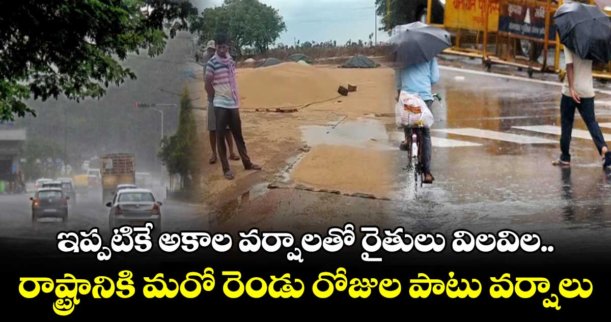 తెలంగాణ రాష్ట్రానికి మరో రెండు రోజులు వర్షాలు : హైదరాబాద్‌ వాతావరణ శాఖ