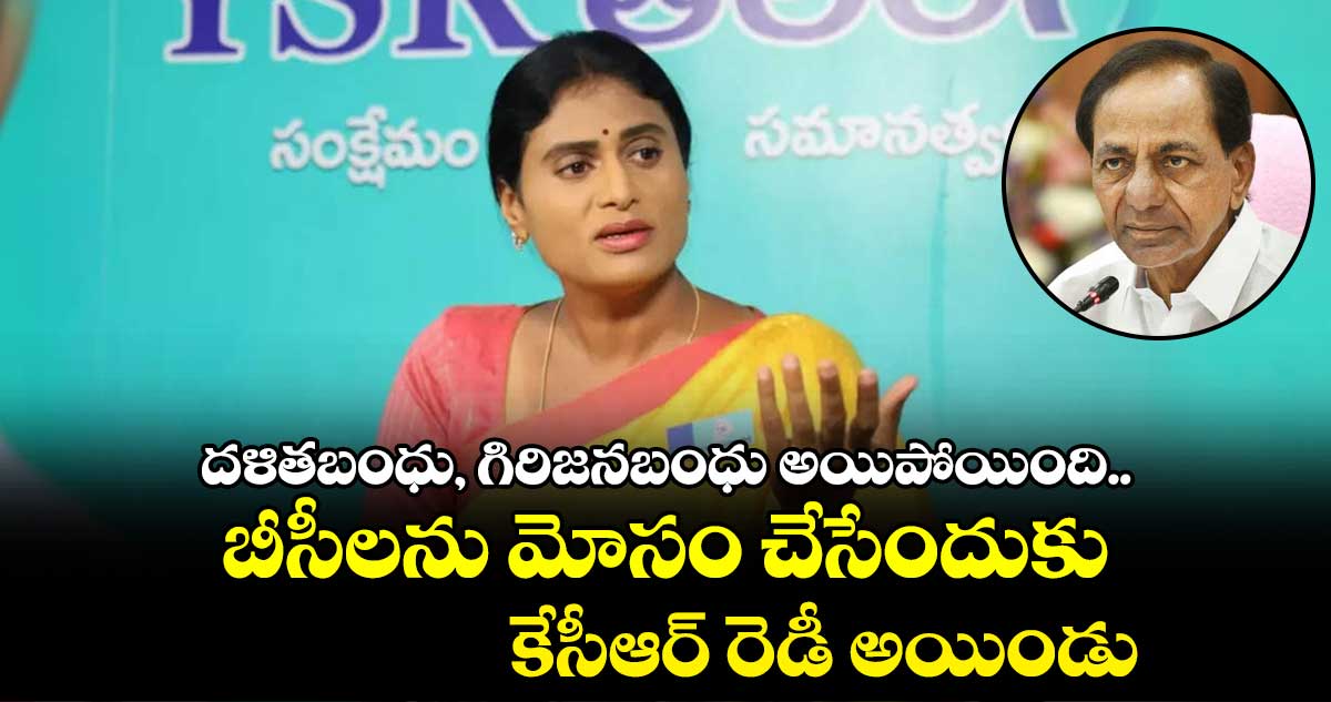 కొత్తగా బీసీలను మోసం చేసేందుకు కేసీఆర్ రెడీ అయిండు : షర్మిల
