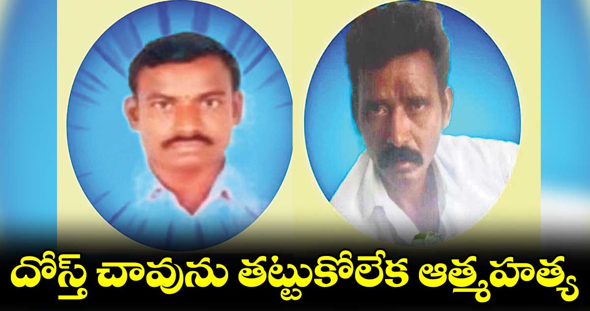 దోస్త్​ చావును తట్టుకోలేక ఆత్మహత్య