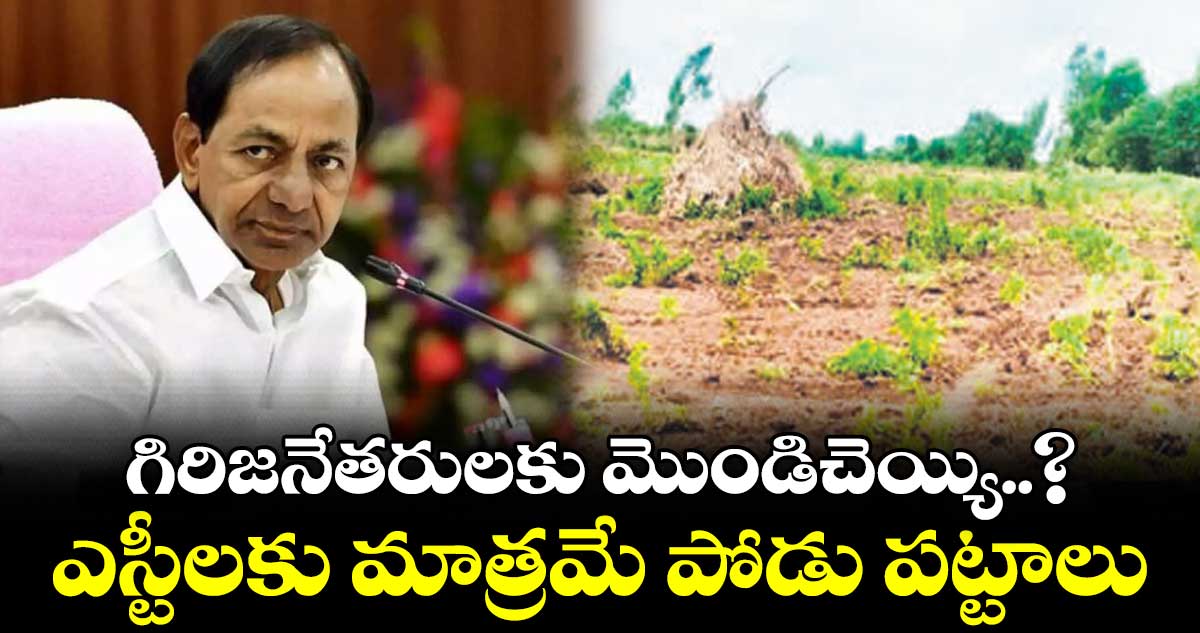 పోడు భూముల విషయంలో సర్కారు కీలక నిర్ణయం 