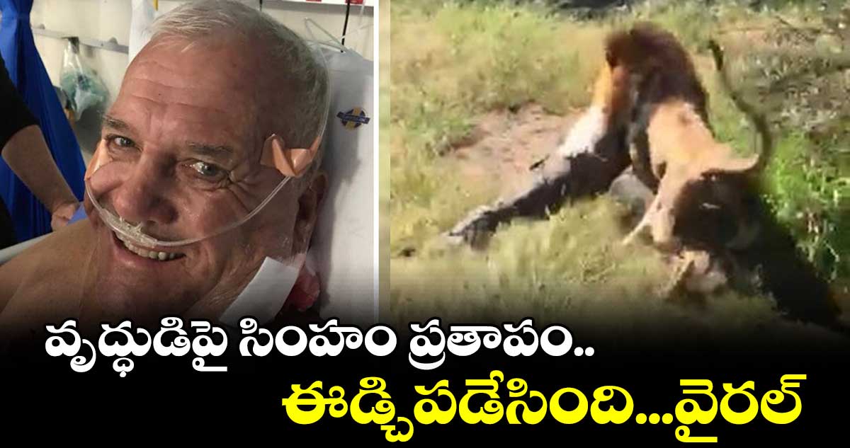 ఎన్‌క్లోజర్‌లోకి వచ్చిన వృద్ధుడిని ఈడ్చి పడేసిన అడవి రాజు.. గాయాలతో బయటపడ్డ వ్యక్తి