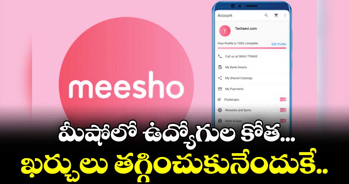 251 మందిని తీసేసిన మీషో