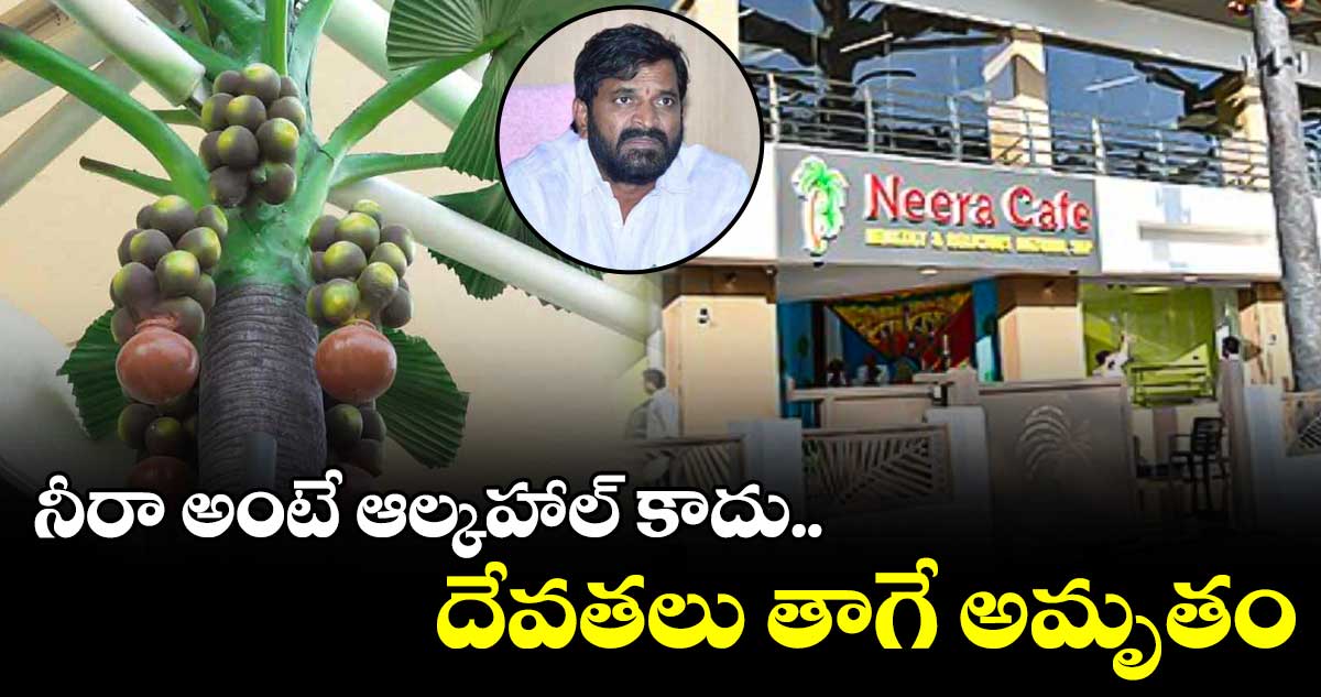 నీరా అంటే ఆల్కహాల్ కాదు.. దేవతలు తాగే అమృతం