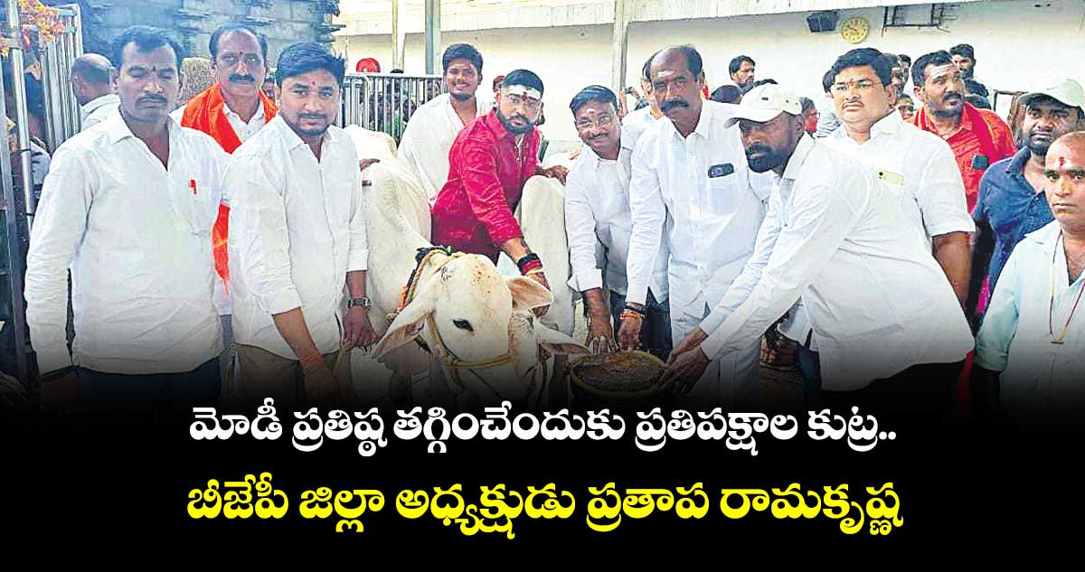 మోడీ ప్రతిష్ఠ తగ్గించేందుకు ప్రతిపక్షాల కుట్ర ..బీజేపీ జిల్లా అధ్యక్షుడు ప్రతాప రామకృష్ణ