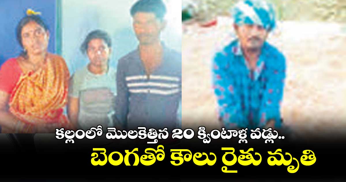 కల్లంలో మొలకెత్తిన 20 క్వింటాళ్ల వడ్లు.. బెంగతో కౌలు రైతు మృతి
