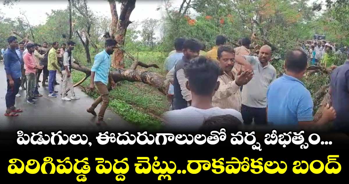 పిడుగులు, ఈదురుగాలులతో వర్ష బీభత్సం... విరిగిపడ్డ పెద్ద చెట్లు..రాకపోకలు బంద్