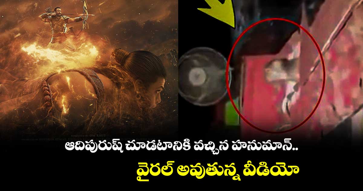 ఆదిపురుష్ చూడటానికి వచ్చిన కోతి.. వైరల్ అవుతున్న వీడియో  