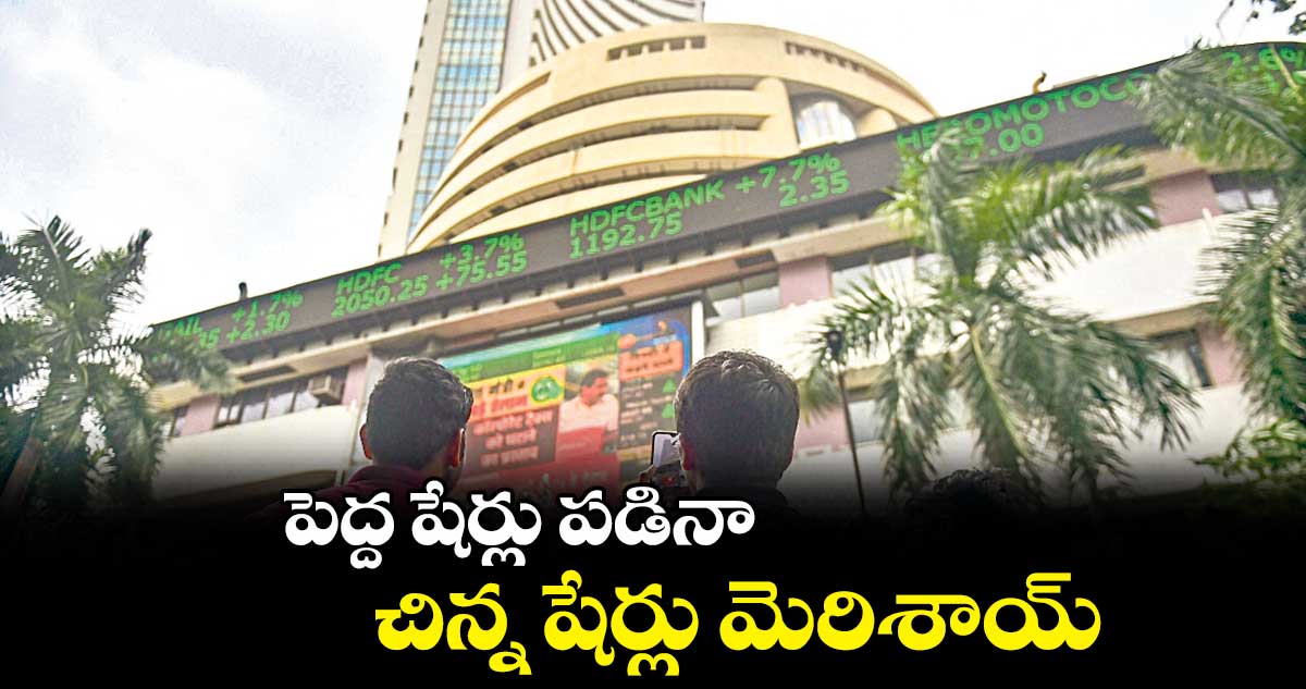 పెద్ద షేర్లు పడినా.. చిన్న షేర్లు మెరిశాయ్