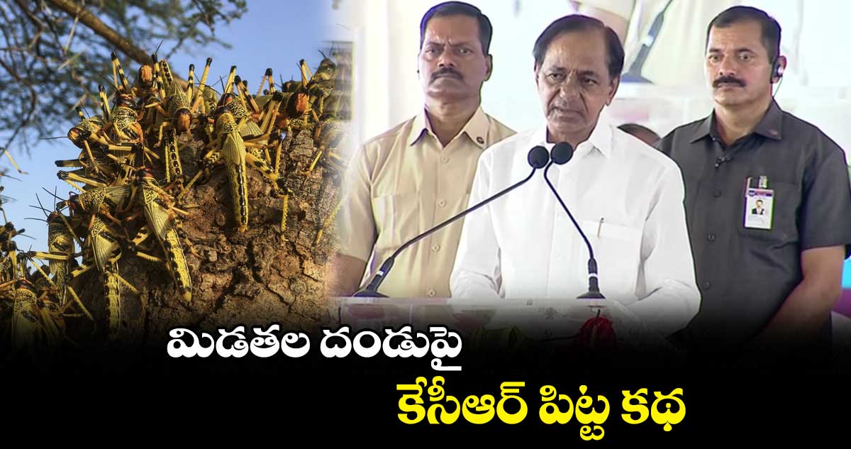 మిడతల దండుపై కేసీఆర్ పిట్ట కథ