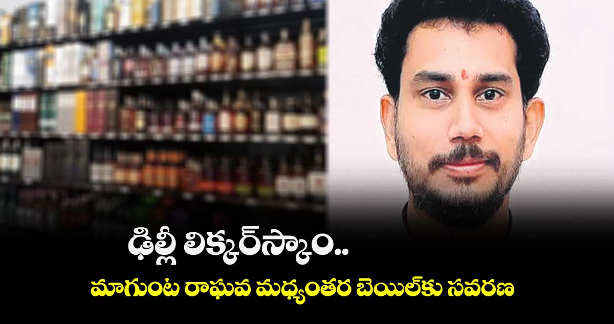 ఢిల్లీ లిక్కర్స్కాం.. మాగుంట రాఘవ మధ్యంతర బెయిల్కు సవరణ