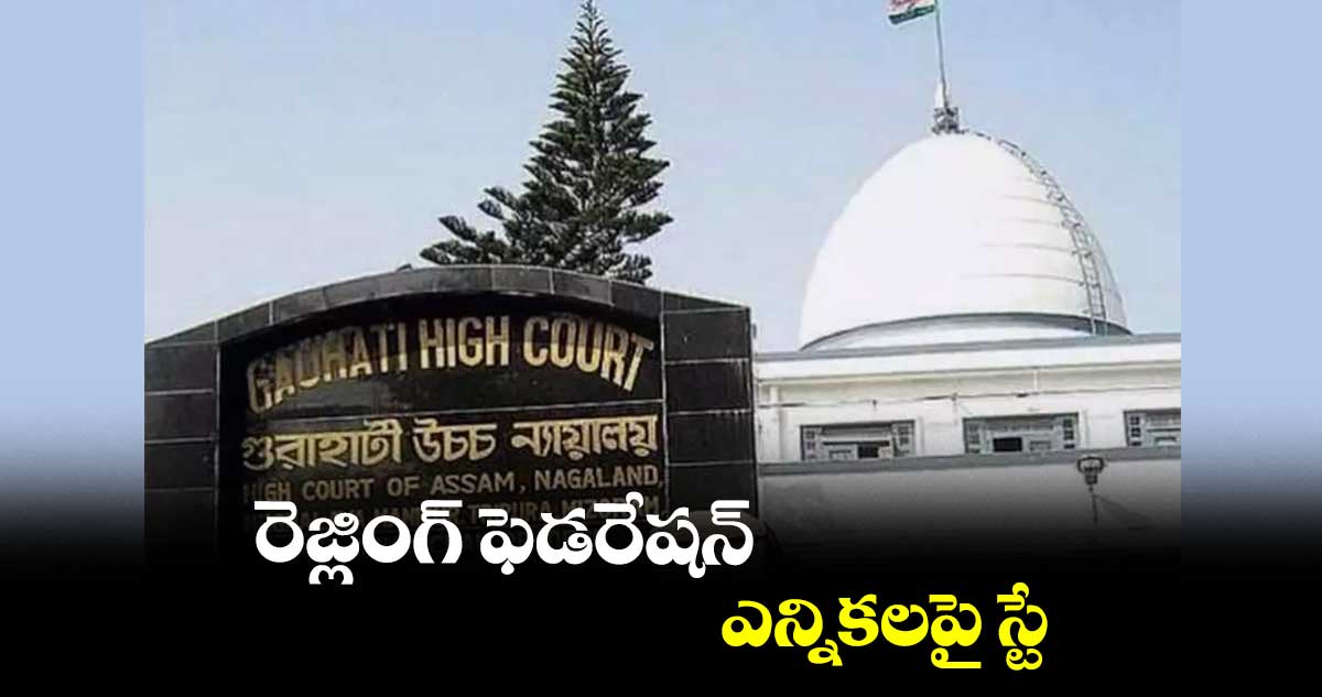 రెజ్లింగ్ ఫెడరేషన్ ఎన్నికలపై స్టే