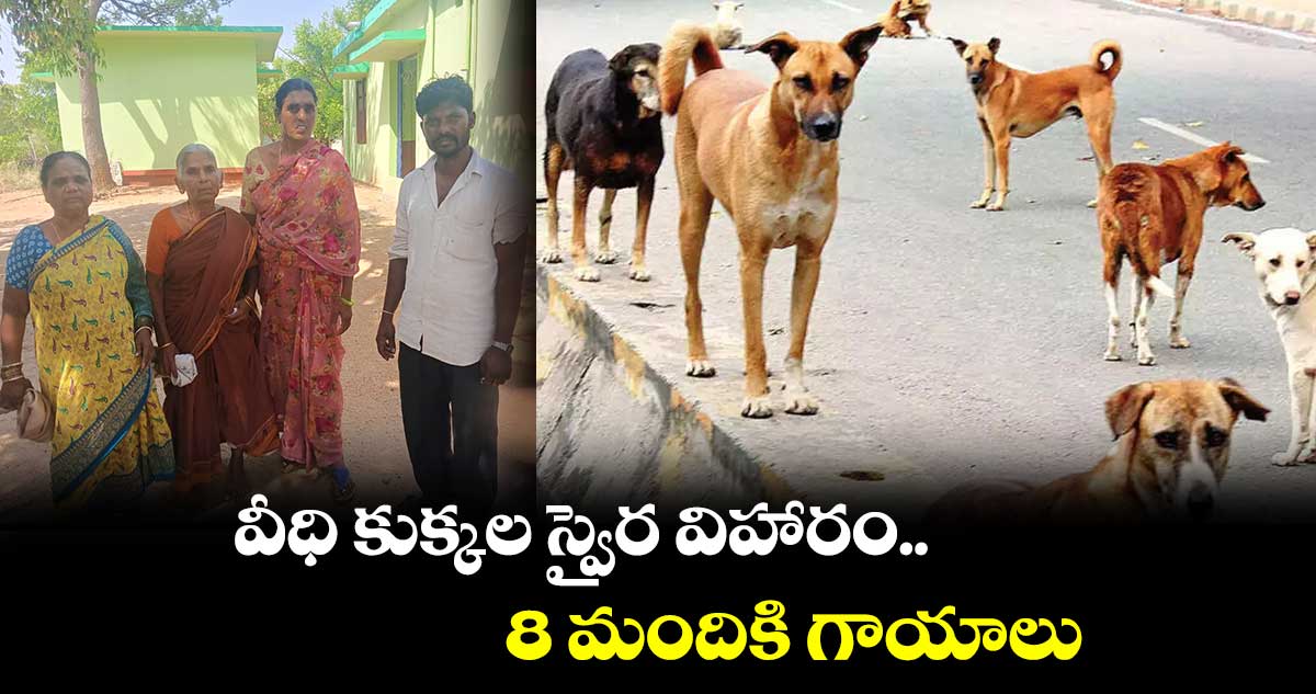 వీధి కుక్కల స్వైర విహారం.. 8 మందికి గాయాలు