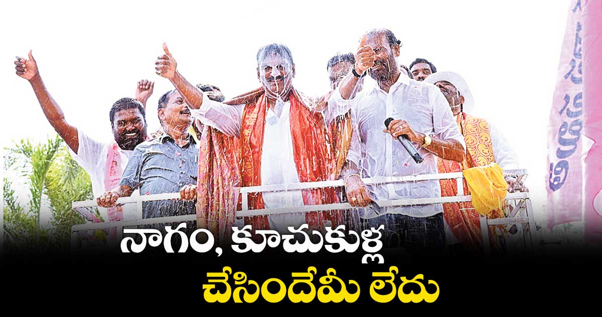 నాగం, కూచుకుళ్ల చేసిందేమీ లేదు 