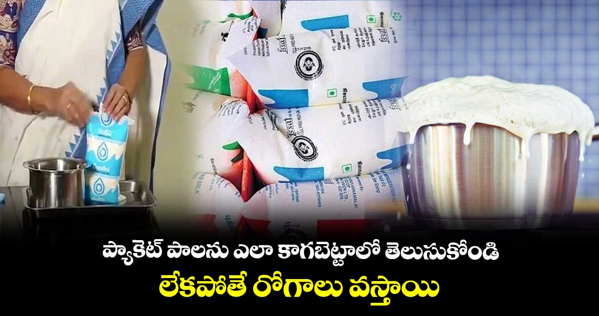 ప్యాకెట్ పాలను ఎలా కాగబెట్టాలో తెలుసుకోండి.. లేకపోతే రోగాలు వస్తాయి