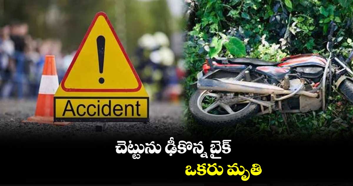 చెట్టును ఢీకొన్న బైక్.. ఒకరు మృతి