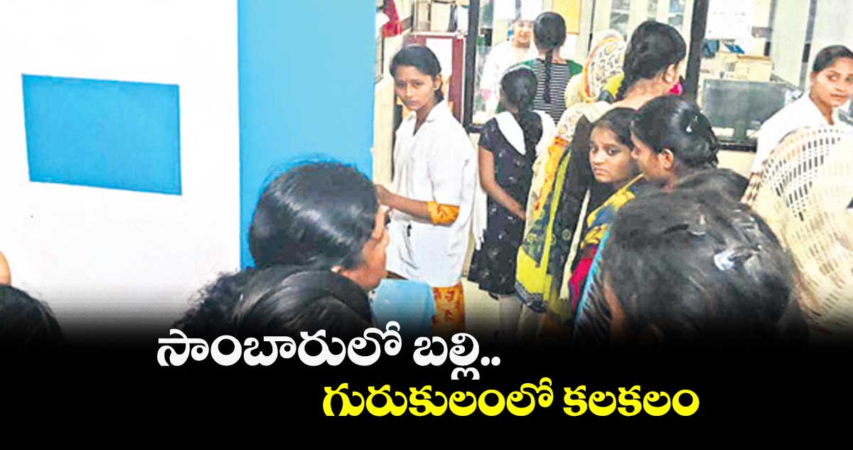 సాంబారులో బల్లి..  గురుకులంలో కలకలం 