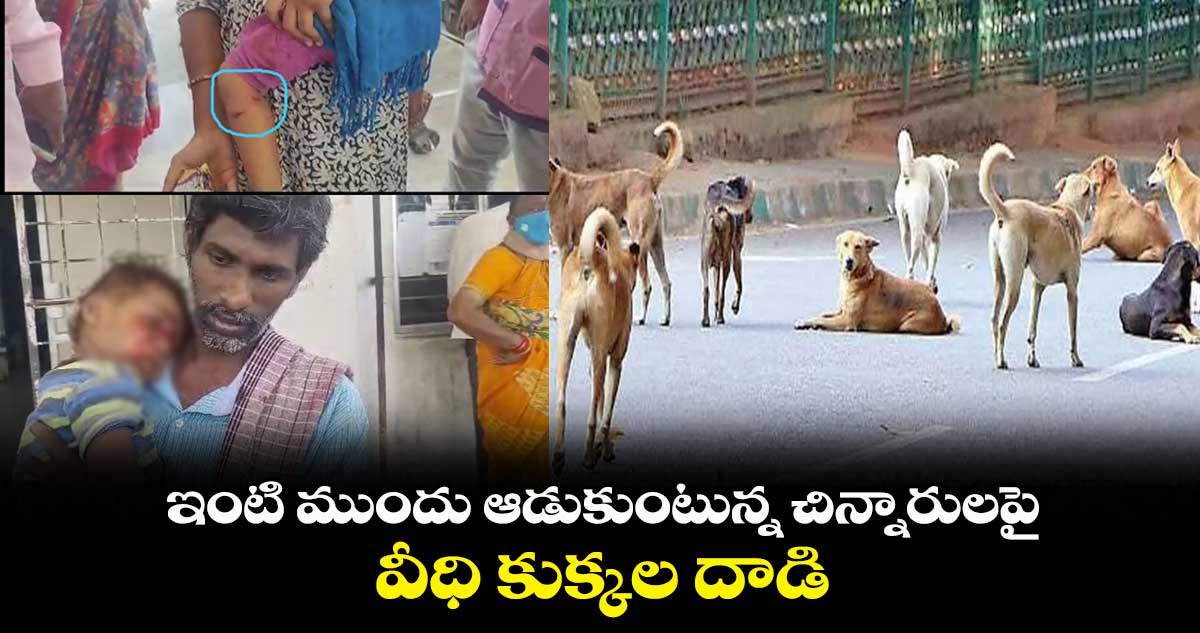 ఇంటి ముందు ఆడుకుంటున్న చిన్నారులపై వీధి కుక్కల దాడి.. 