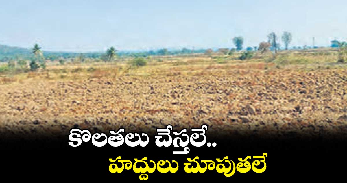 కొలతలు చేస్తలే.. హద్దులు చూపుతలే