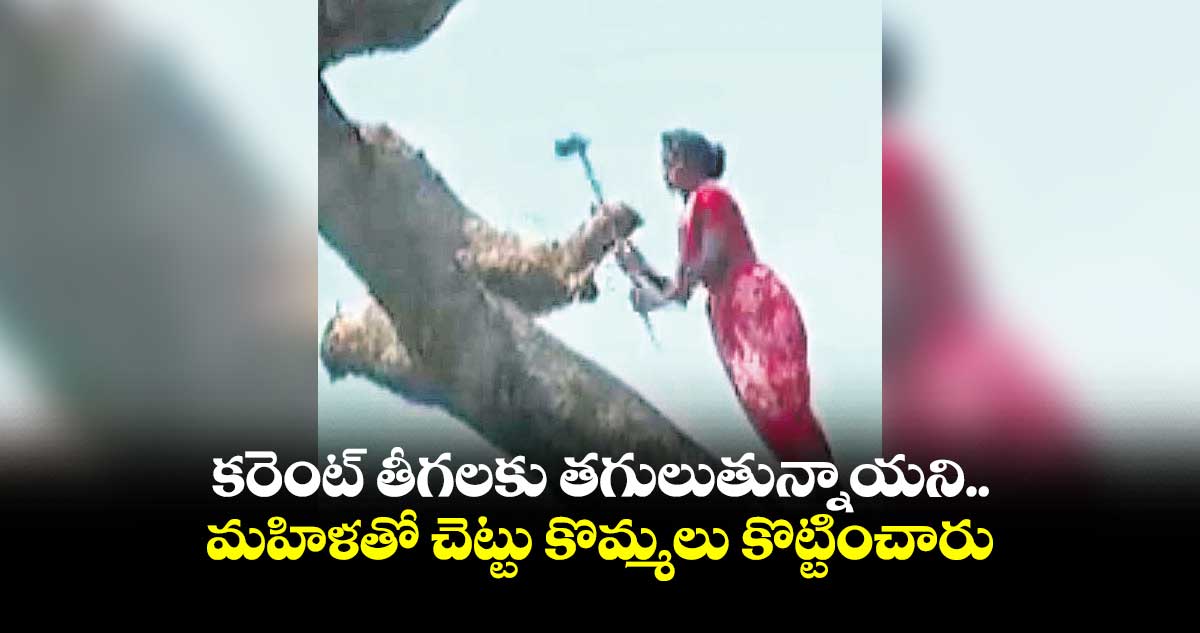 కరెంట్​ తీగలకు తగులుతున్నాయని.. మహిళతో  చెట్టు కొమ్మలు కొట్టించారు