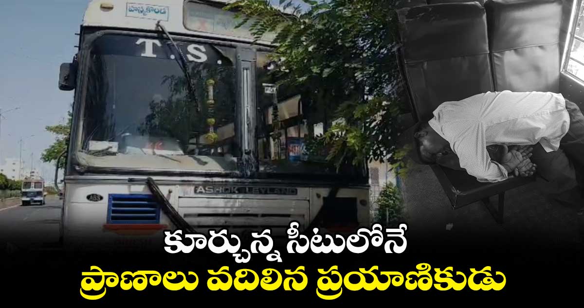నిజామాబాద్: కూర్చున్న సీటులోనే ప్రాణాలు వదిలిన ప్రయాణికుడు