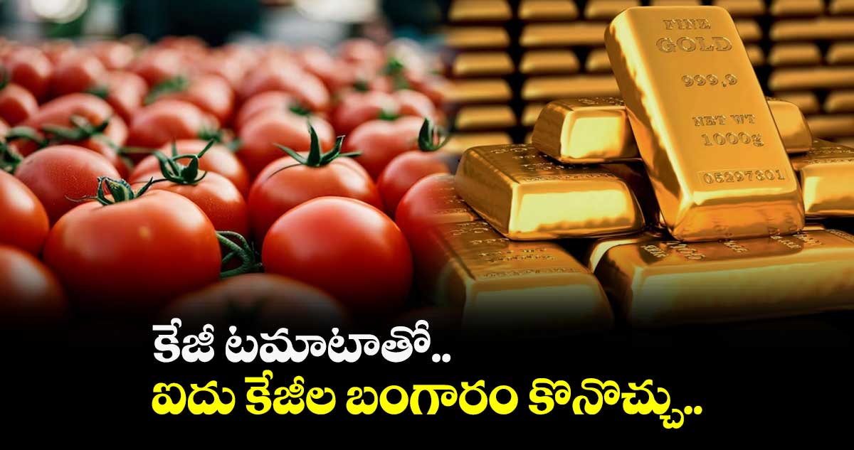 కేజీ టమాటాతో.. ఐదు కేజీల బంగారం కొనొచ్చు..