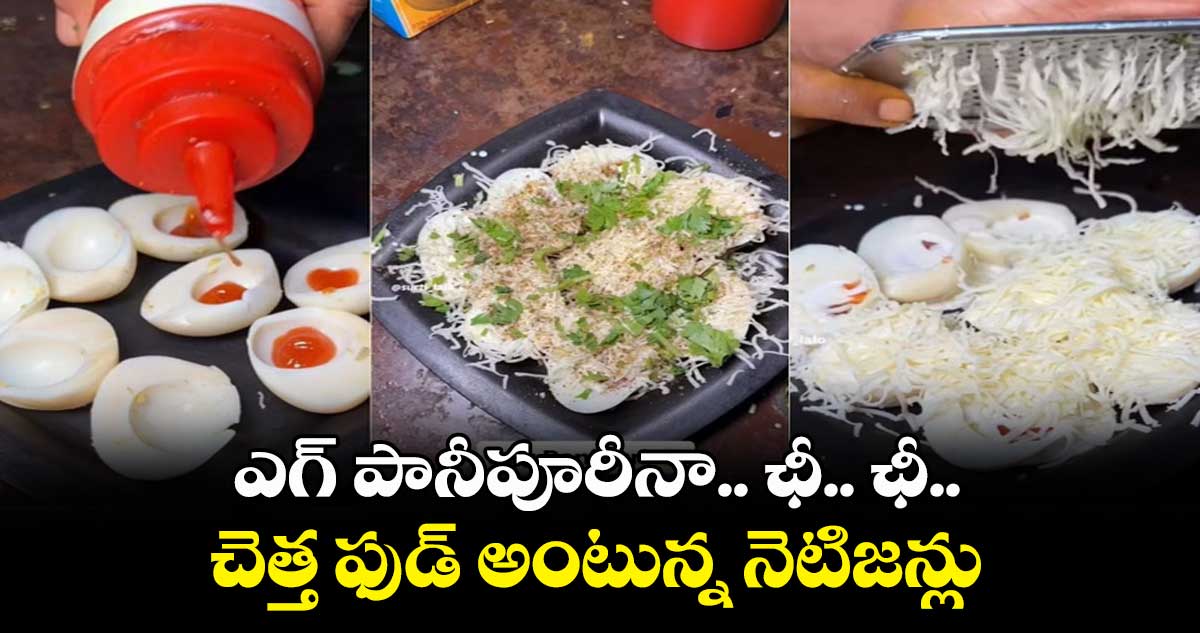 ఎగ్ పానీపూరీనా.. ఛీ.. ఛీ.. చెత్త ఫుడ్ అంటున్న నెటిజన్లు