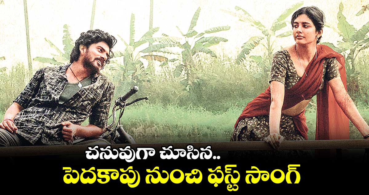 చనువుగా చూసిన..పెదకాపు నుంచి ఫస్ట్ సాంగ్