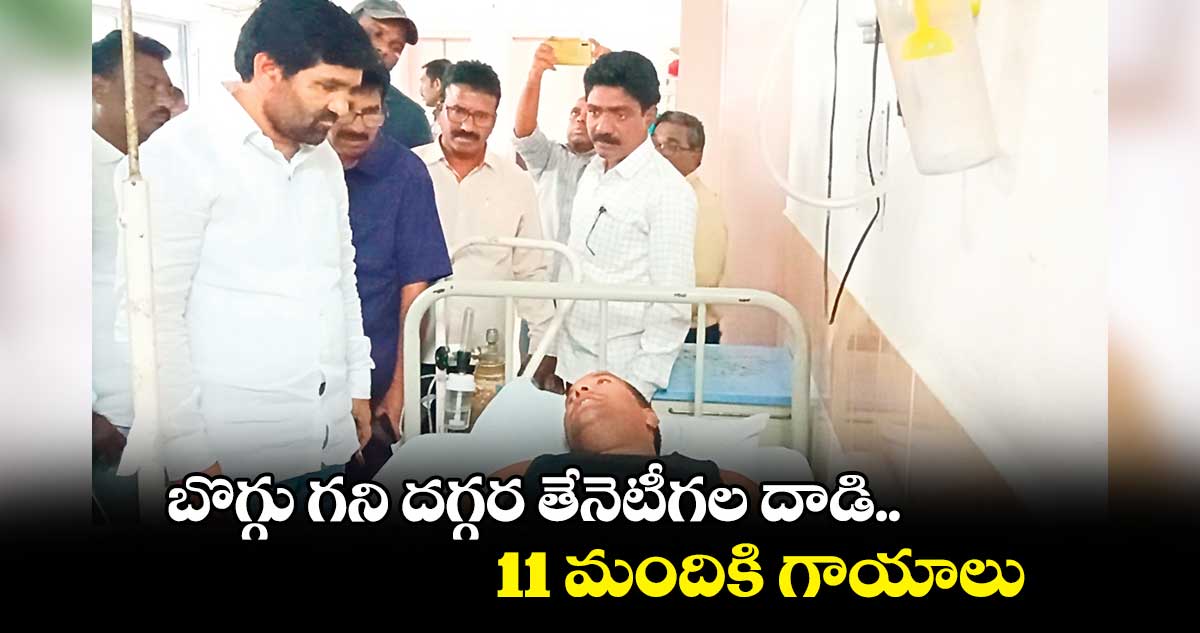 బొగ్గు గని దగ్గర తేనెటీగల దాడి.. 11 మందికి గాయాలు