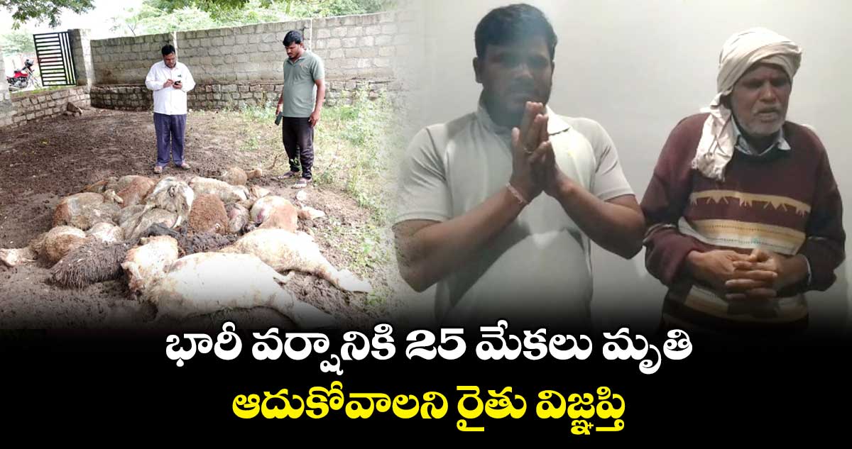 భారీ వర్షానికి 25 మేకలు మృతి.. ఆదుకోవాలని రైతు విజ్ఞప్తి