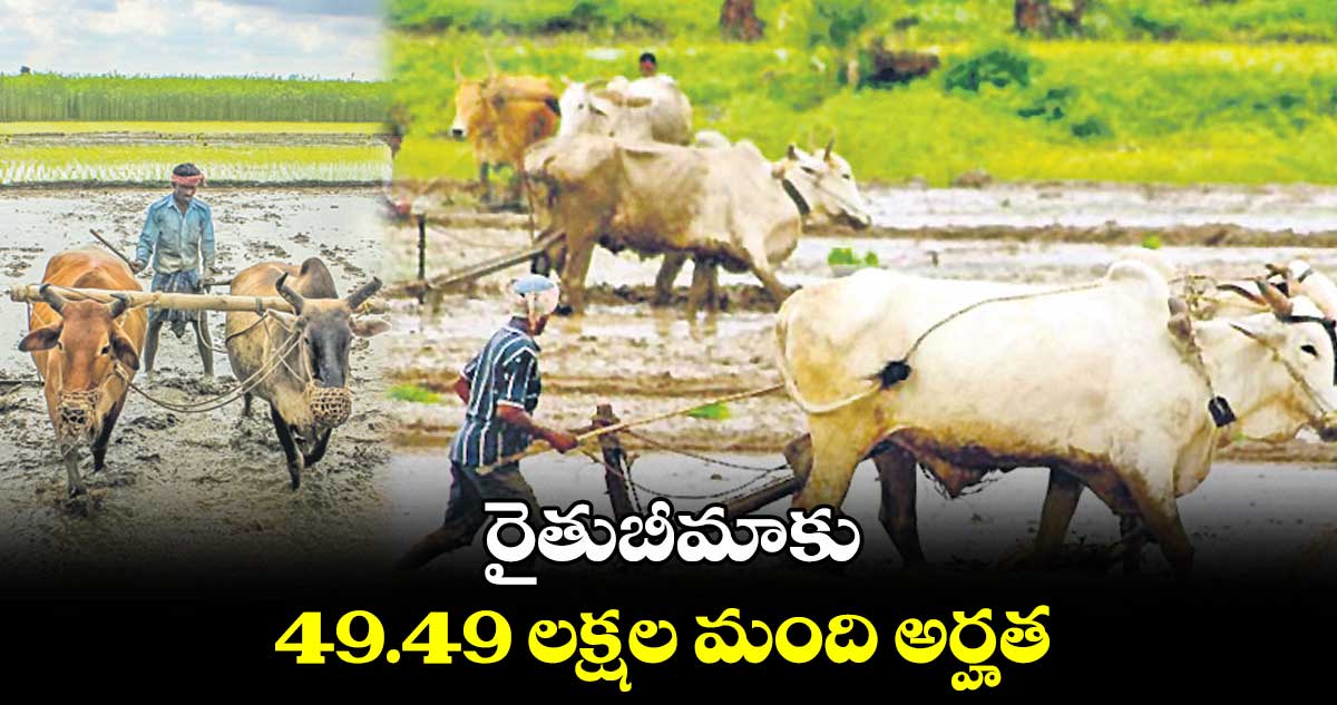 రైతుబీమాకు 49.49 లక్షల మంది అర్హత