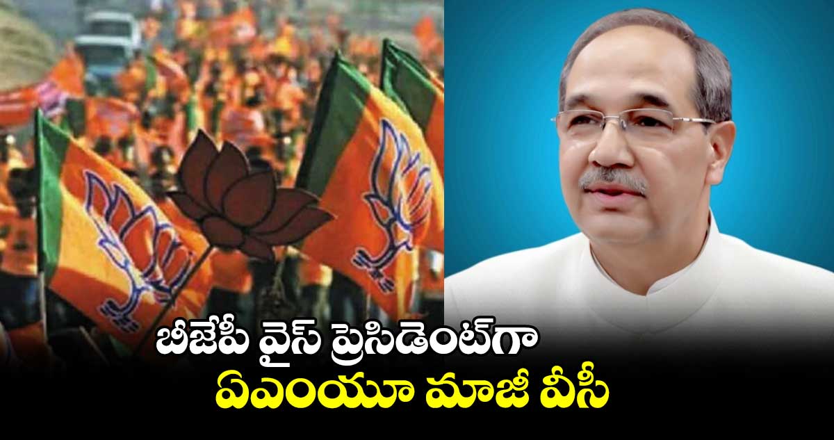 బీజేపీ వైస్ ప్రెసిడెంట్గా..ఏఎంయూ మాజీ వీసీ