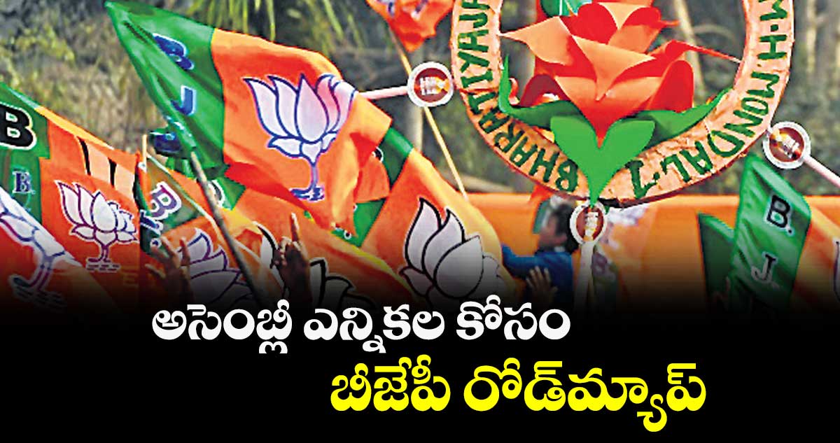 అసెంబ్లీ ఎన్నికల కోసం .. బీజేపీ రోడ్మ్యాప్