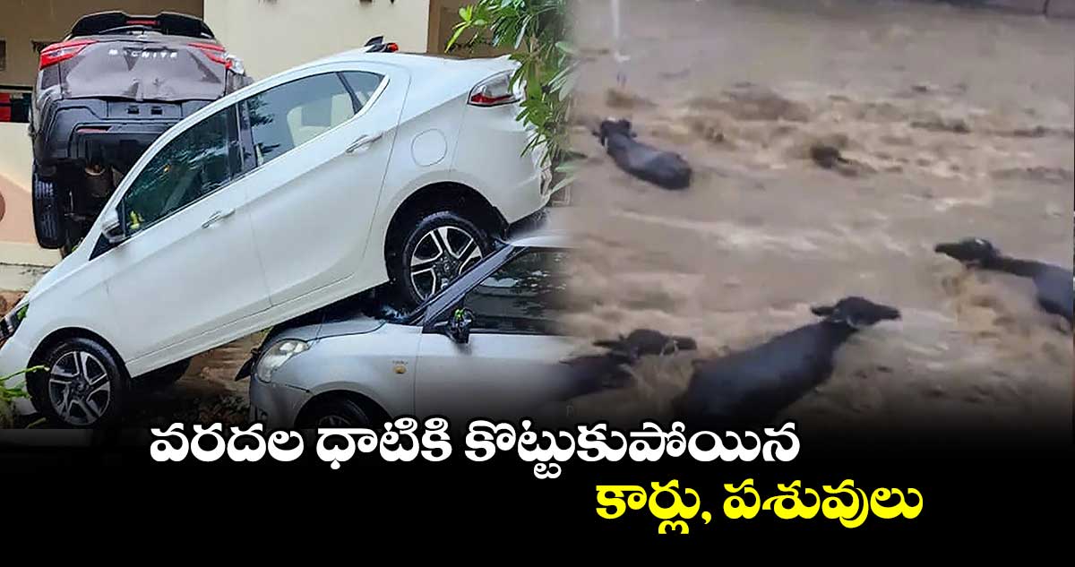 వరదల ధాటికి కొట్టుకుపోయిన కార్లు, పశువులు
