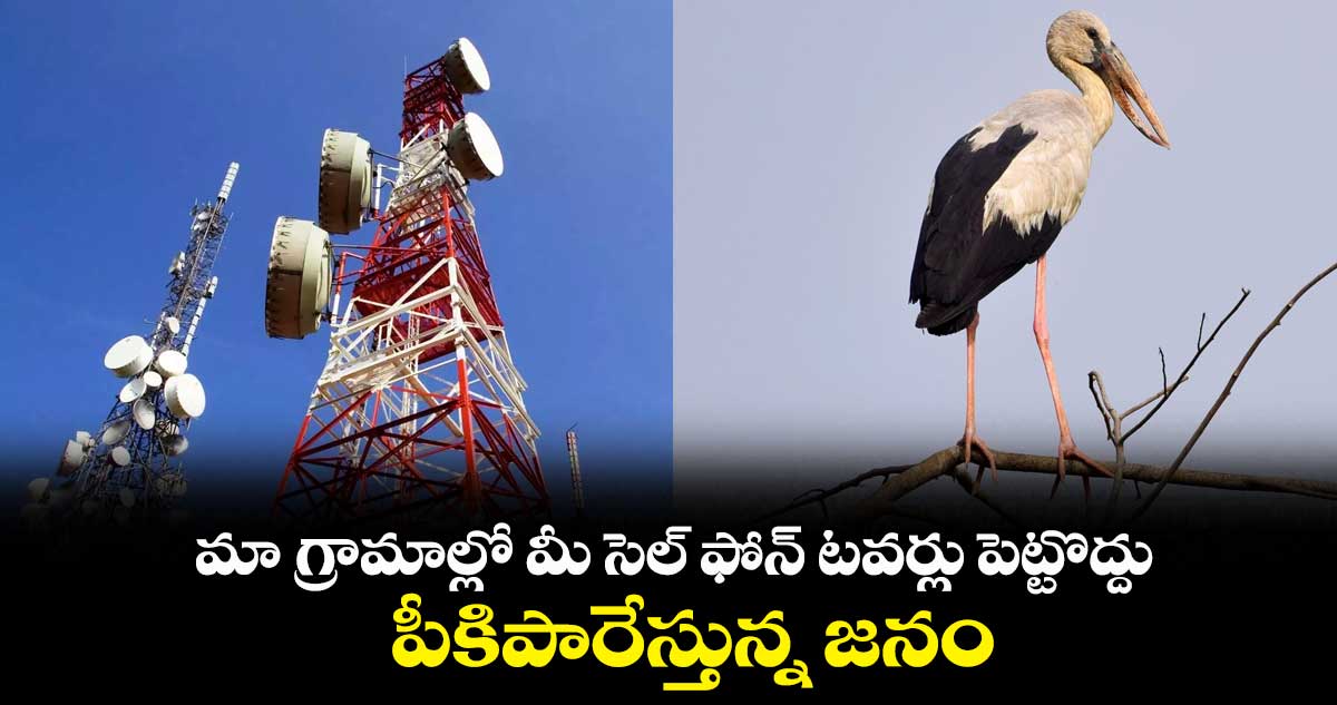 మా గ్రామాల్లో మీ సెల్ ఫోన్ టవర్లు పెట్టొద్దు.. పీకిపారేస్తున్న జనం