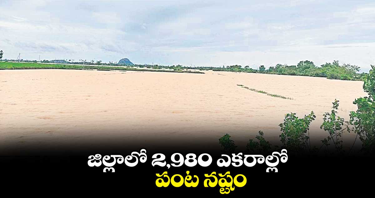 ఖమ్మం జిల్లాలో 2,980 ఎకరాల్లో పంట నష్టం