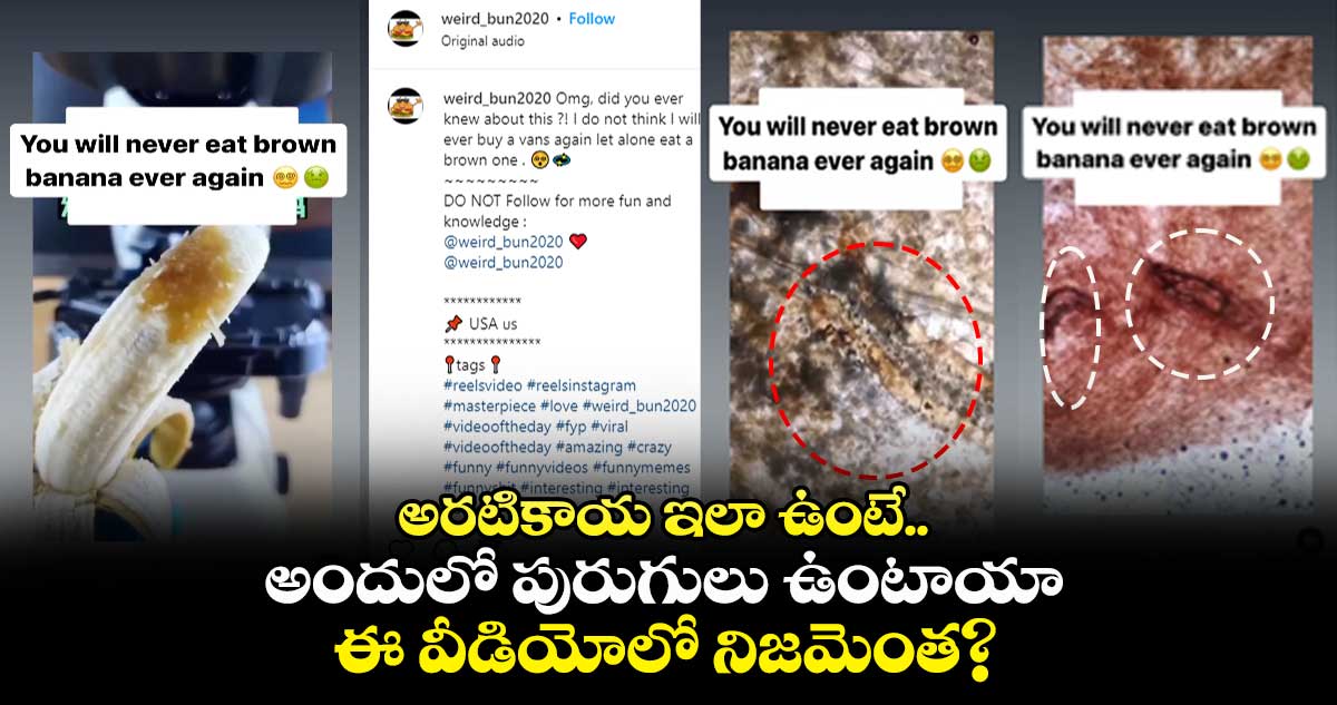 అరటికాయ ఇలా ఉంటే.. అందులో పురుగులు ఉంటాయా.. ఈ వీడియోలో నిజమెంత?