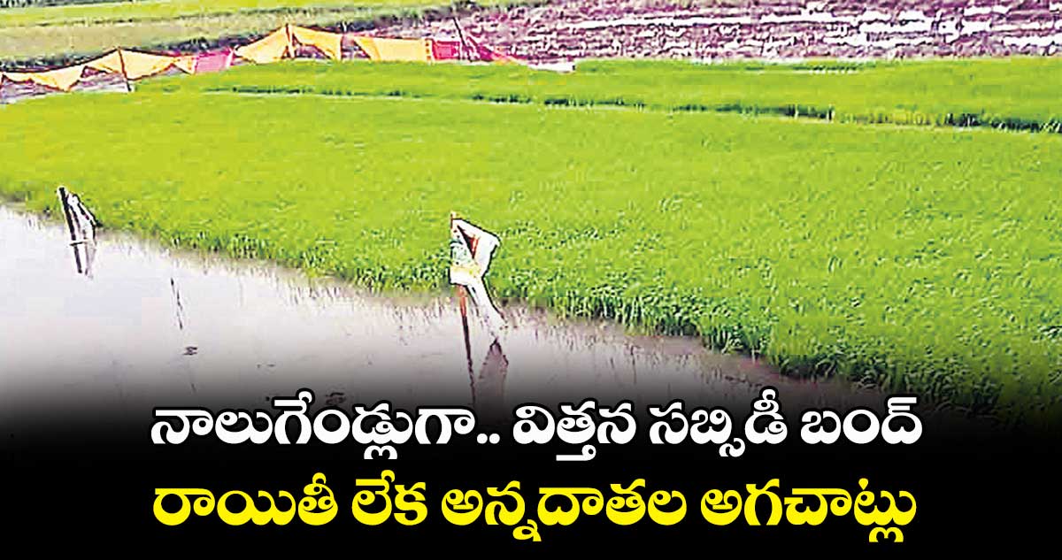నాలుగేండ్లుగా.. విత్తన సబ్సిడీ బంద్.. రాయితీ లేక అన్నదాతల అగచాట్లు