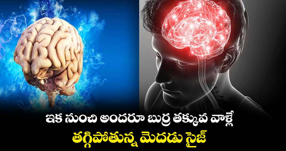 ఇక నుంచి అందరూ బుర్ర తక్కువ వాళ్లే.. తగ్గిపోతున్న మెదడు సైజ్