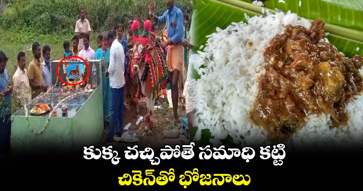 కుక్క చచ్చిపోతే సమాధి కట్టి...చికెన్⁬తో భోజనాలు