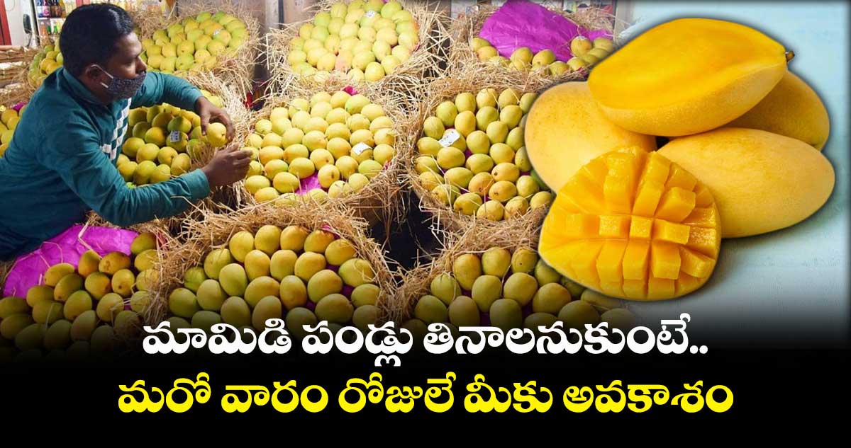 మామిడి పండ్లు తినాలనుకుంటే.. మరో వారం రోజులే మీకు అవకాశం