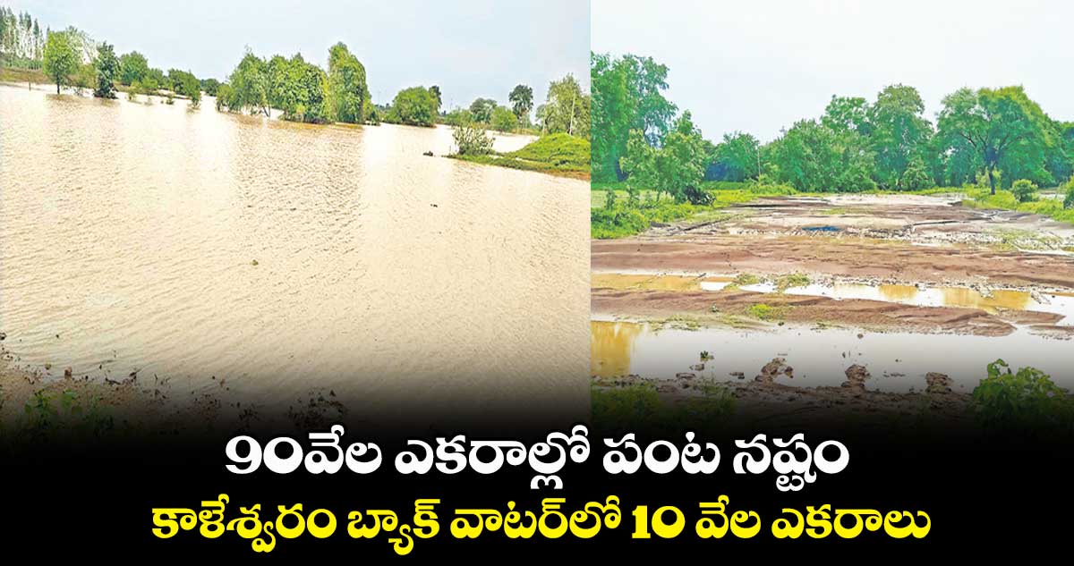 90వేల ఎకరాల్లో పంట నష్టం.. కాళేశ్వరం బ్యాక్​ వాటర్​లో  10 వేల ఎకరాలు