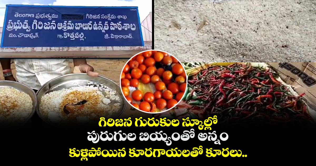 గిరిజన గురుకుల స్కూల్లో  పురుగుల బియ్యంతో అన్నం..కుళ్లిపోయిన కూరగాయలతో కూరలు..