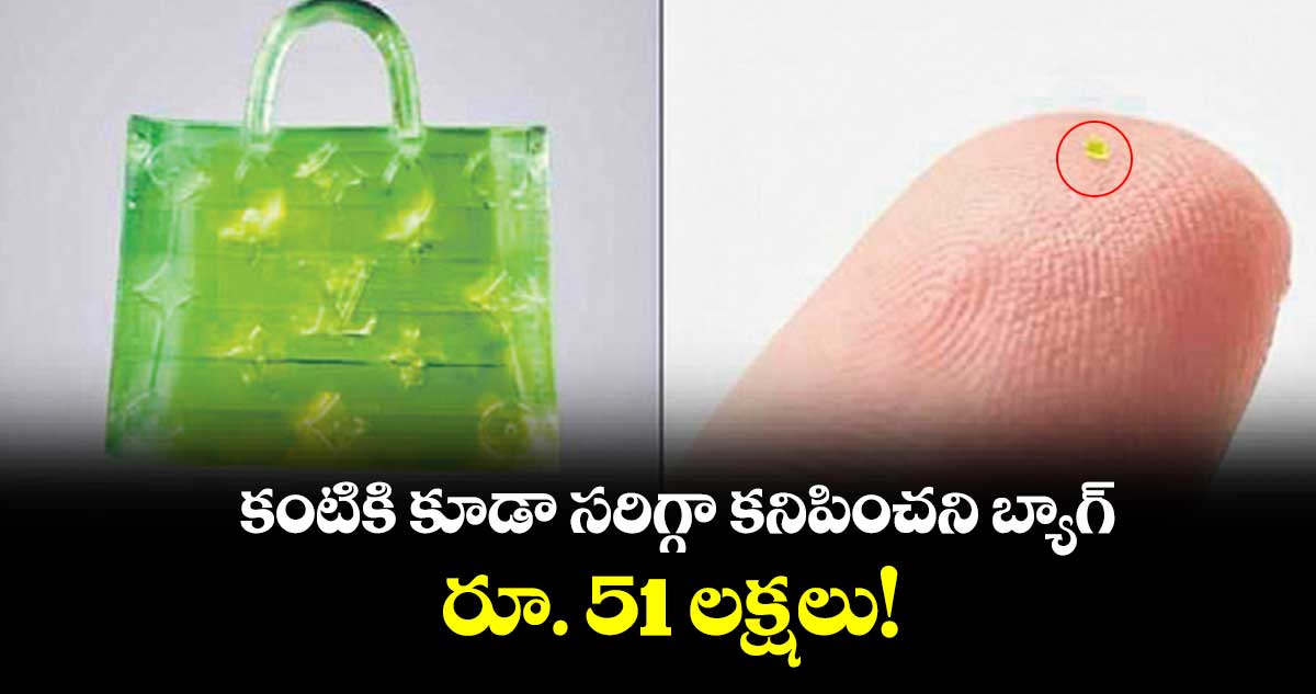 కంటికి కూడా సరిగ్గా కనిపించని బ్యాగ్ రూ. 51 లక్షలు!