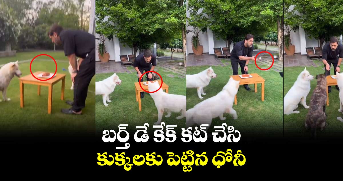 వీడియో: బర్త్ డే కేక్ కట్ చేసి.. కుక్కలకు పెట్టిన ధోనీ