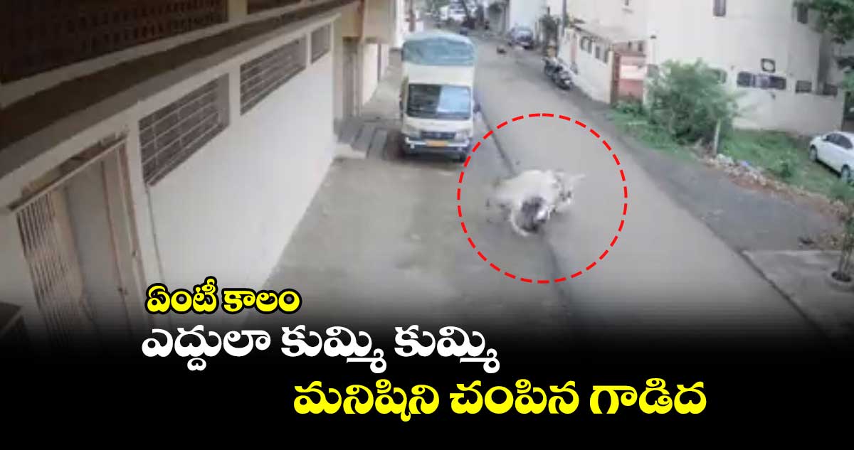 ఏంటీ కాలం : ఎద్దులా కుమ్మి కుమ్మి మనిషిని చంపిన గాడిద