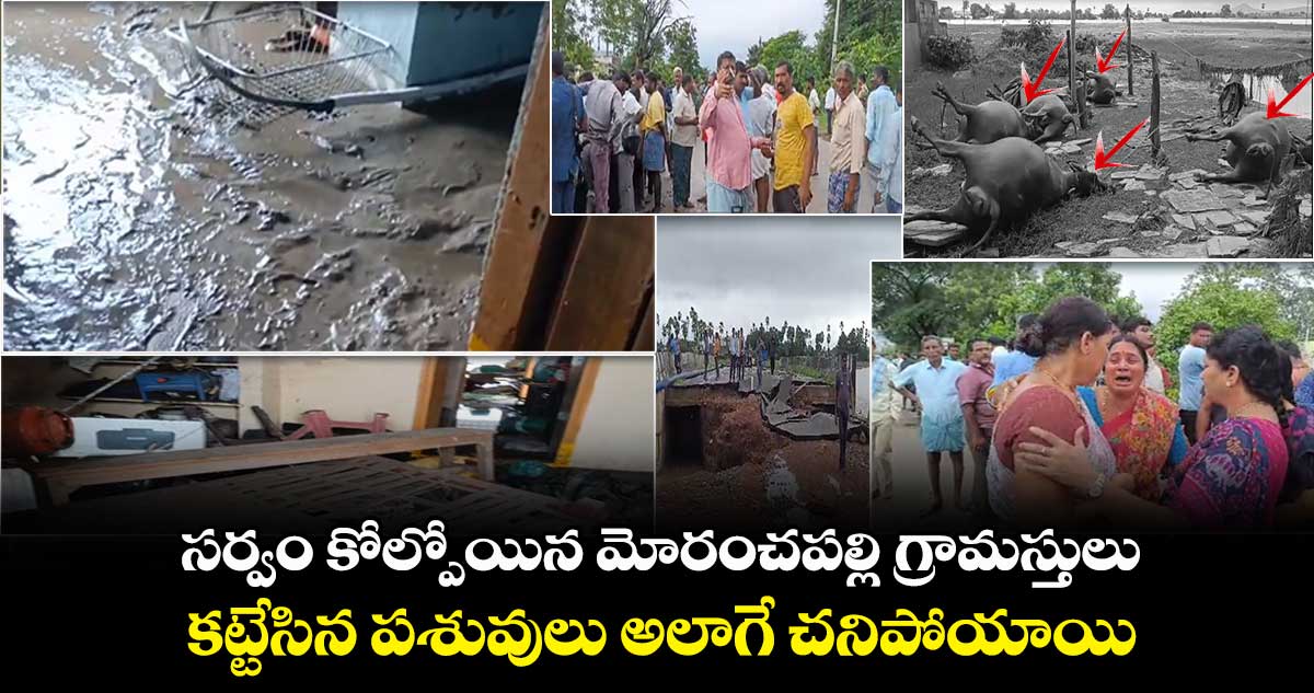 సర్వం కోల్పోయిన మోరంచపల్లి గ్రామస్తులు.. కట్టేసిన పశువులు అలాగే చనిపోయాయి