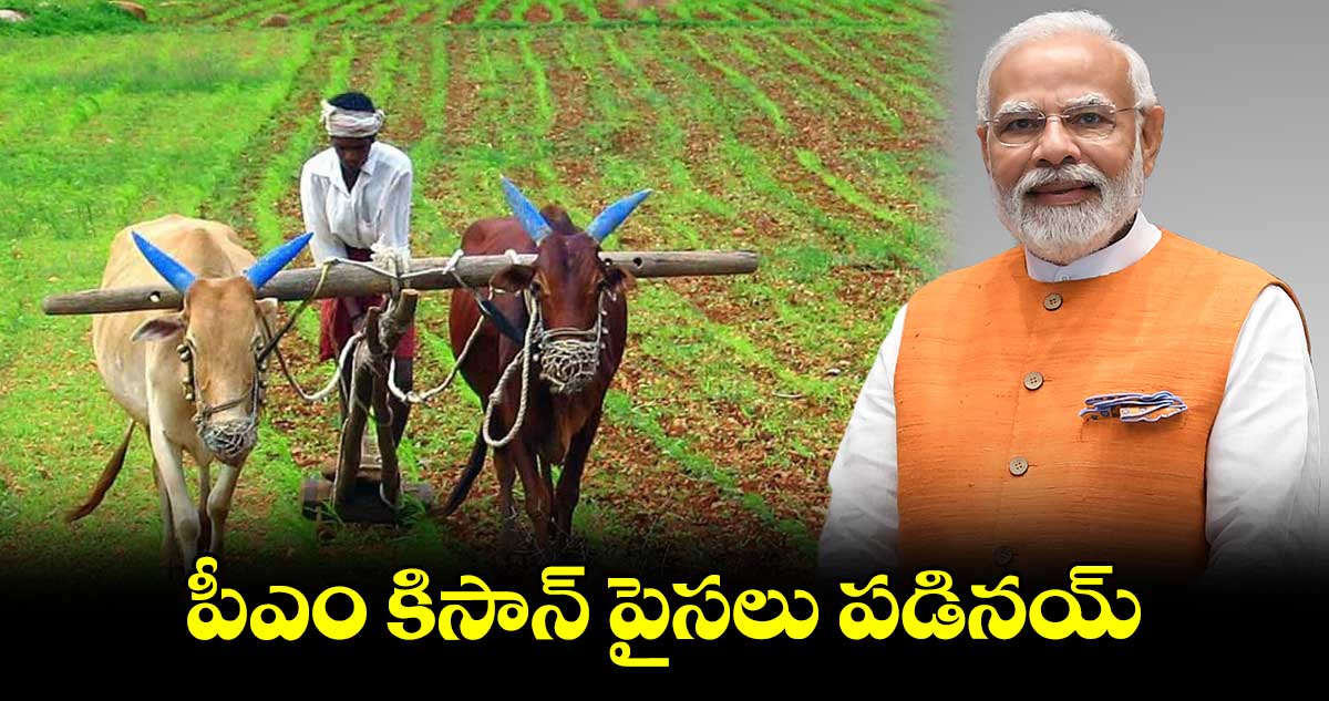 PM Kisan Yojana: పీఎం కిసాన్ పైసలు పడినయ్