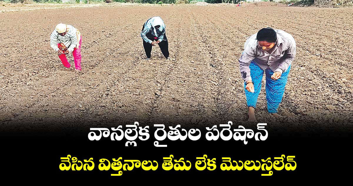 వానల్లేక రైతుల పరేషాన్.. వేసిన విత్తనాలు తేమ లేక మొలుస్తలేవ్